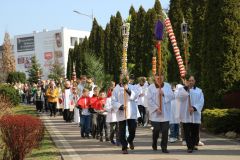 2026_niedziela-palmowa010