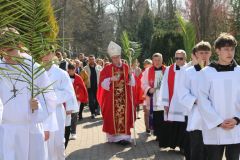 2026_niedziela-palmowa015